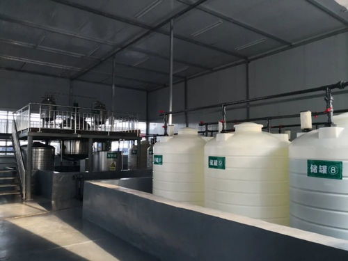 山東企業(yè)投巨資建有機肥廠，引領(lǐng)綠色農(nóng)業(yè)新篇章